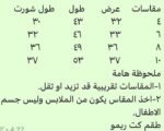 ريمو كت اخضر - الصورة 2