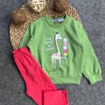 فانيلا خريفى اخضر