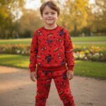 Butterfly دفاية اسابيدر