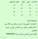 ⁦B2am شتوى بريمارك بلايستيشن⁩ - الصورة ⁦2⁩