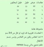⁦ريمو مليتون خروج باربى رمادى⁩ - الصورة ⁦5⁩