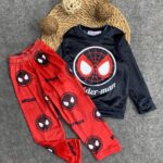 ريمو قطفية هايدى اسابيدر