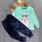 زومبا بولار وسط بومه لبنى