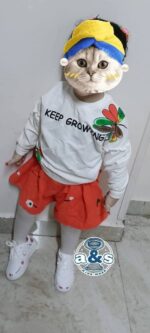 سيلا ابيض ف شورت اورنج - الصورة 2