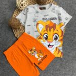 رشدان صيفى تايجر رمادى