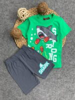 رشدان صيفى قرش اخضر