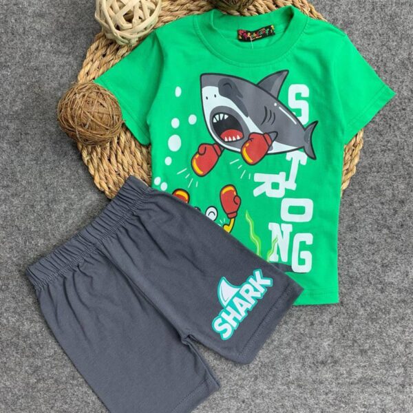 رشدان صيفى قرش اخضر