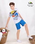 زومبا وسط سونيك