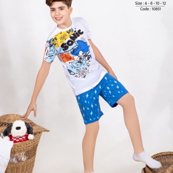 زومبا وسط سونيك