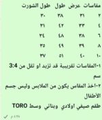 ⁦toro هاكونا ماتا⁩ - الصورة ⁦2⁩