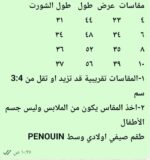 ⁦Penguin سونيك⁩ - الصورة ⁦3⁩