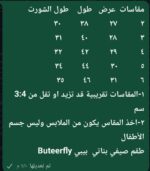 ⁦butterfly ميكى بيج⁩ - الصورة ⁦2⁩