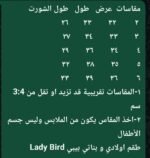 lady bird كلب - الصورة 2