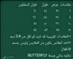 دفاية butterfly باك ميكى تايجر - الصورة 2