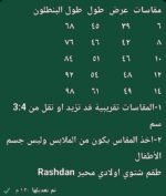 ⁦رشدان اديديس سونيك⁩ - الصورة ⁦2⁩